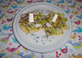 Tostadas de salpicon de res