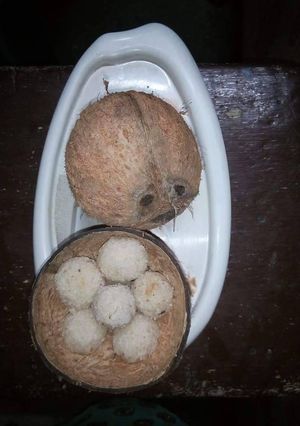 A picture of Coconut Laddu In 3 Ingredients.