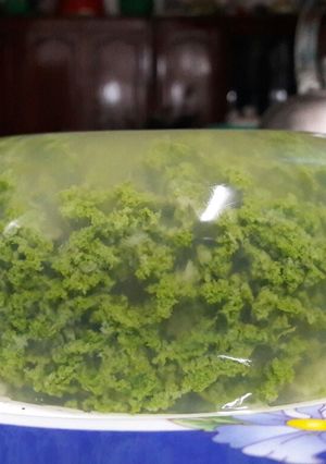 Hình của món Rau câu san hô.