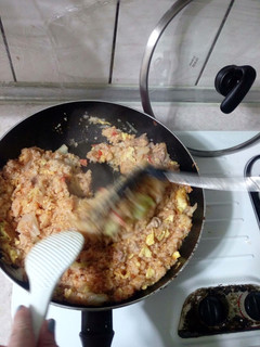 番茄雞肉炒飯 的食譜成品照片