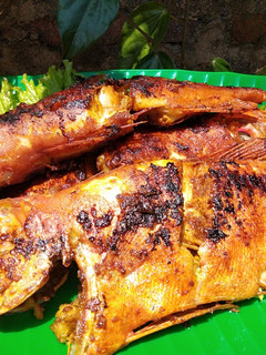Foto resep Kakap Merah Bakar Manis
