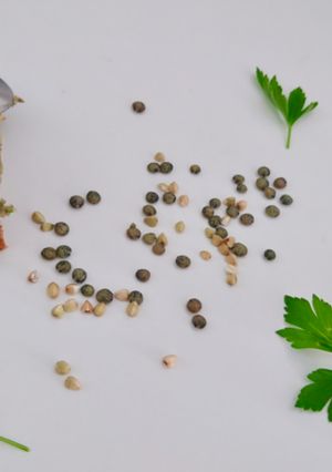 Une photo de Tartinable lentilles, sarrasin et noisettes