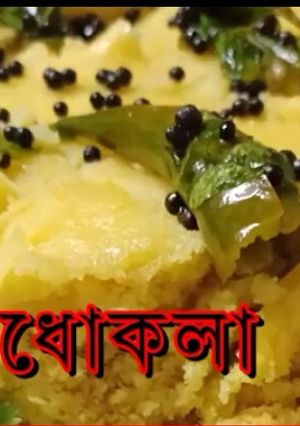 A picture of Khaman dhokla.
