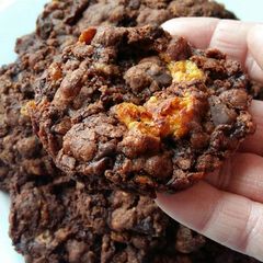 A picture of Vickys Double Chocolate Honeycomb Cookies, GF DF EF SF NF.