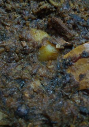 A picture of Banana flower curry.