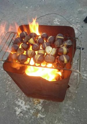 صورة لوصفة كستنا ع الفحم