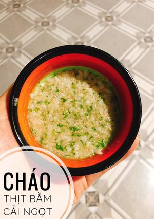 Hình của món Ăn dặm - Cháo thịt bằm cải ngọt.