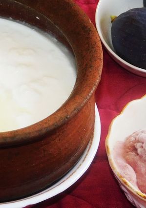 A picture of Homemade curd for fig sorbet.