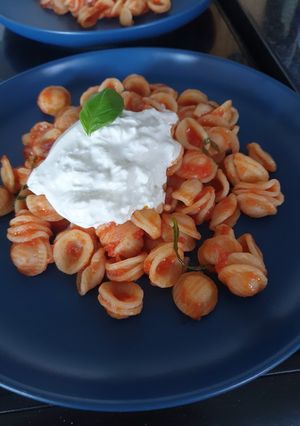 A picture of Orecchiette with tomato and burrata cheese.