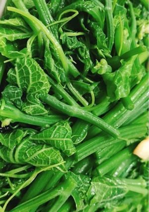 炒龍鬚菜 的食譜成品照片