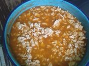 Una foto de gallina con tomate