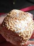 Trufas de Pan, Queso y Maní con rebozado especial