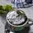 Matcha Steam Mug Cake