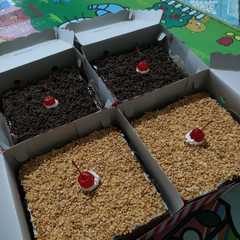 Brownies Kukus রেসিপির প্রধান ছবি