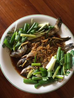 Foto resep Kerapu Steam Hongkong