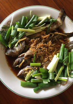 Foto resep Kerapu Steam Hongkong