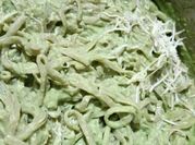 Una foto de salsa para pasta con crema