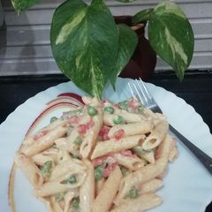 A picture of White Sauce Pasta.