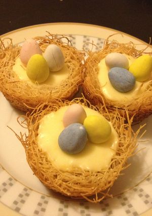 A picture of Kataifi Cheesecake Nests.