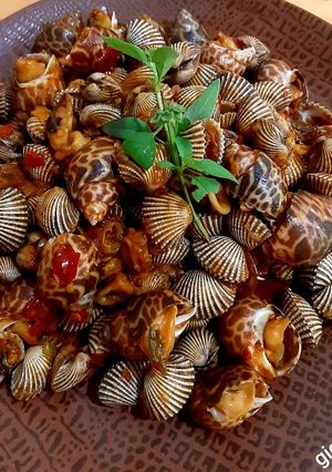 Foto resep Kerang Keong Macan Cumi Saos Padang