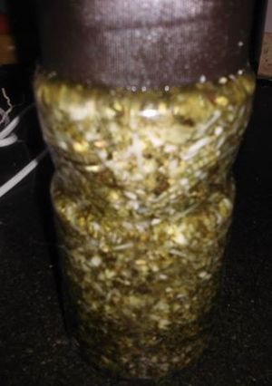 Una foto de Pesto