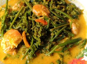 Foto resep Gulai Daun Pakis