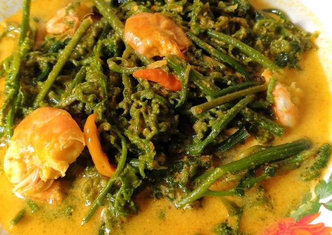 Resep Gulai Daun Pakis Oleh No Name Cookpad