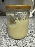 Gingergarlic (apto Fase2)