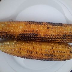 Fresh Roasted Corn(maize) A picture of Fresh Roasted Corn(maize).