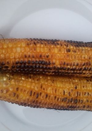 A picture of Fresh Roasted Corn(maize).