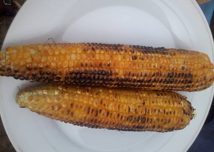 Step-by-Step Guide to Prepare Homemade Fresh Roasted Corn(maize)