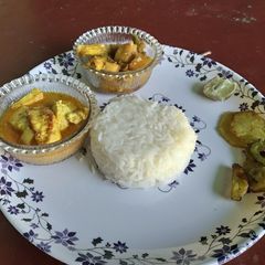 A picture of ভে জ থালি.