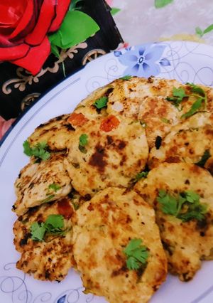 A picture of Shahi Malai kabab.