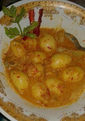 Foto resep Gulai cumi bunting isi tahu