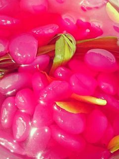 Foto resep Manisan Kolang Kaling