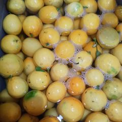 A picture of Lemonade Concentrate.