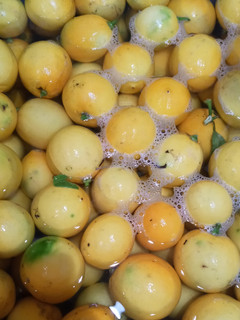 A picture of Lemonade Concentrate.