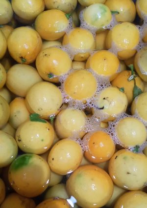 A picture of Lemonade Concentrate.