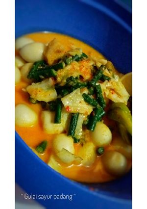 Foto resep Gulai sayur padang