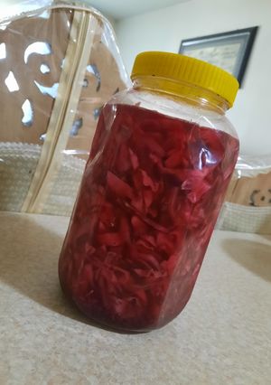عکسی از دستور ترشی کلم بنفش