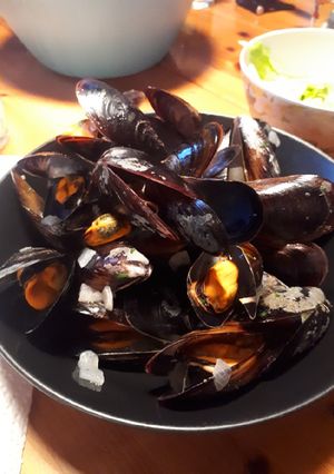 Une photo de Moules marinières