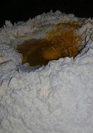 Una foto de Rosquitas tradicionales