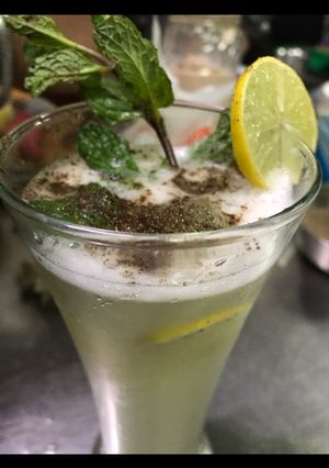 A picture of Mojito.