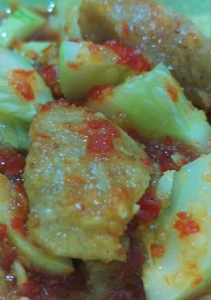 Foto resep 68#Pempek Udang Rebon