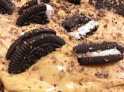 Una foto de choco oreo grande