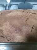 Bizcocho de chocolate