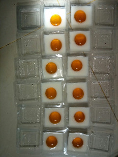 Foto resep Puding telor ceplok matang / telur mata sapi