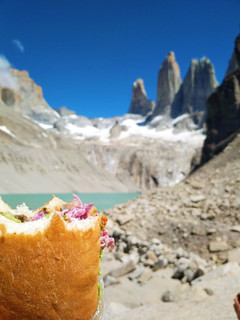 Una foto de Bocadillo vegetariano