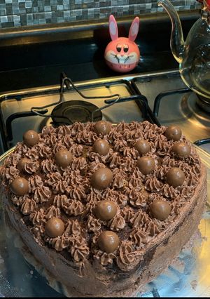 صورة لوصفة كيكة الشوكولاتة بالكريمة المنزلية 🍫✨كيكة طرية وغنية بالكاكاو مع كريمة ناعمة تضيف لها مذاقاً مميزاً،