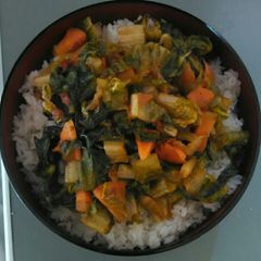 A picture of Vegetable sauce on white rice.